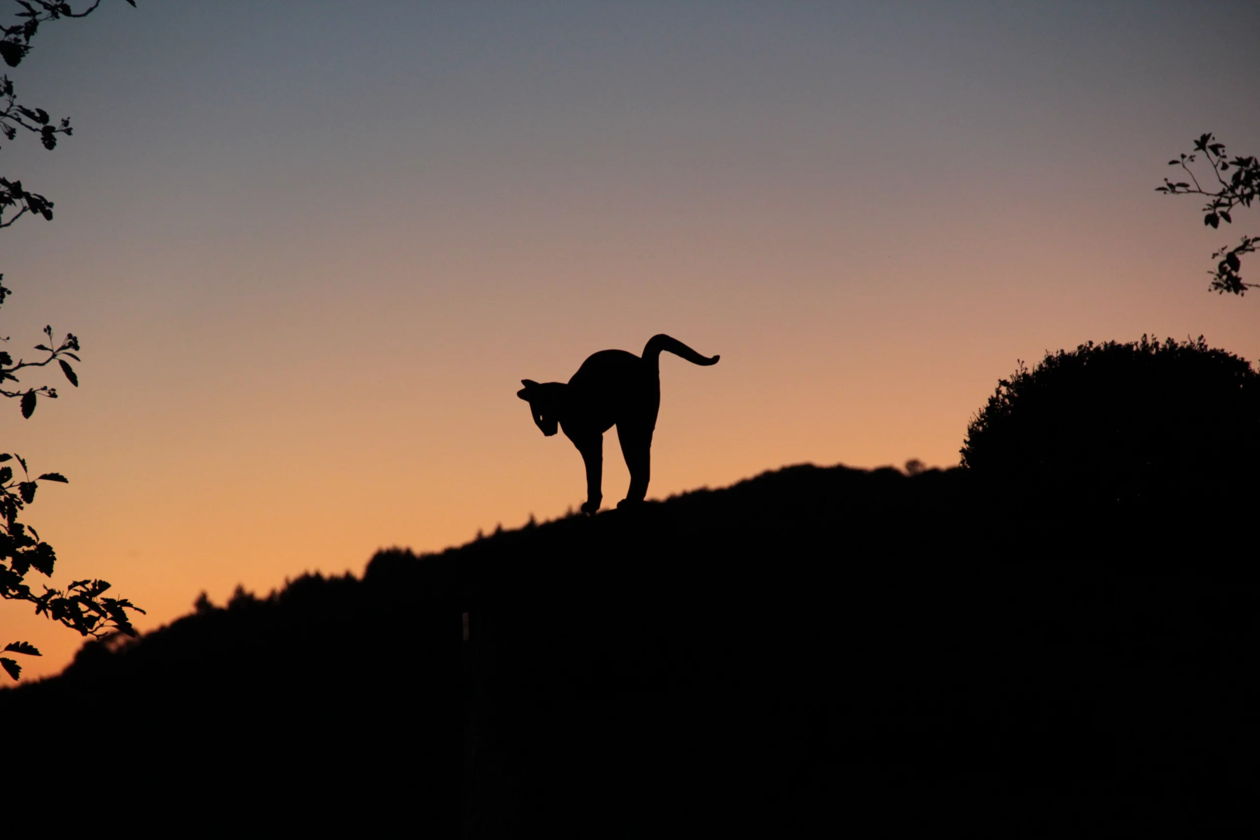 Webdesign Expertise | Elias Schultze Elias Schultze - Webdesign Experte für Mosbach